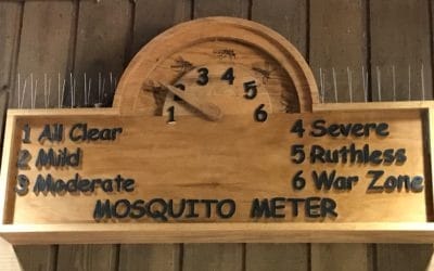 19 Things To Do In Congaree National Park: The Mosquito Meter Park