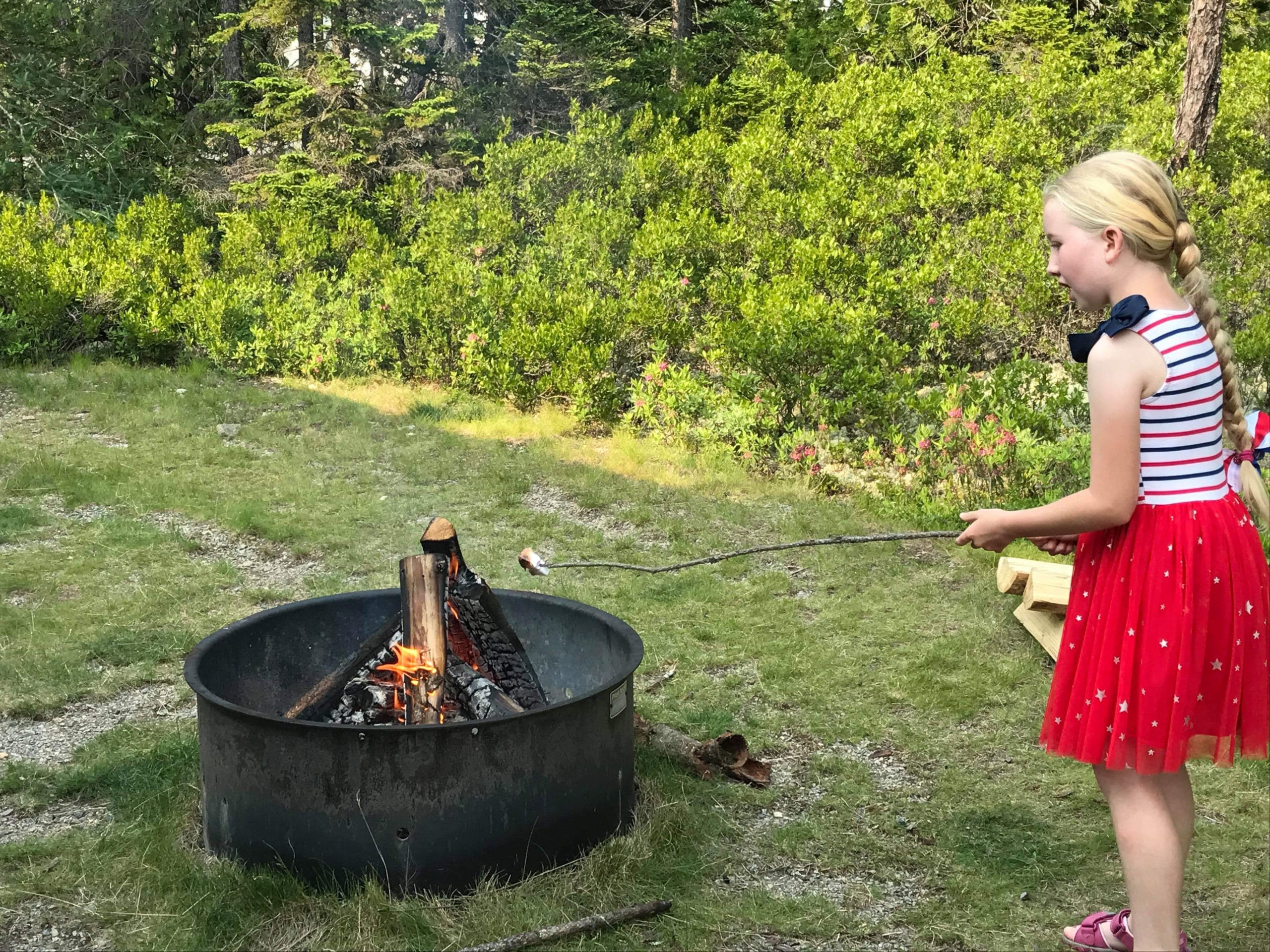 Girl Roasting Marshmallows Over A Campfire