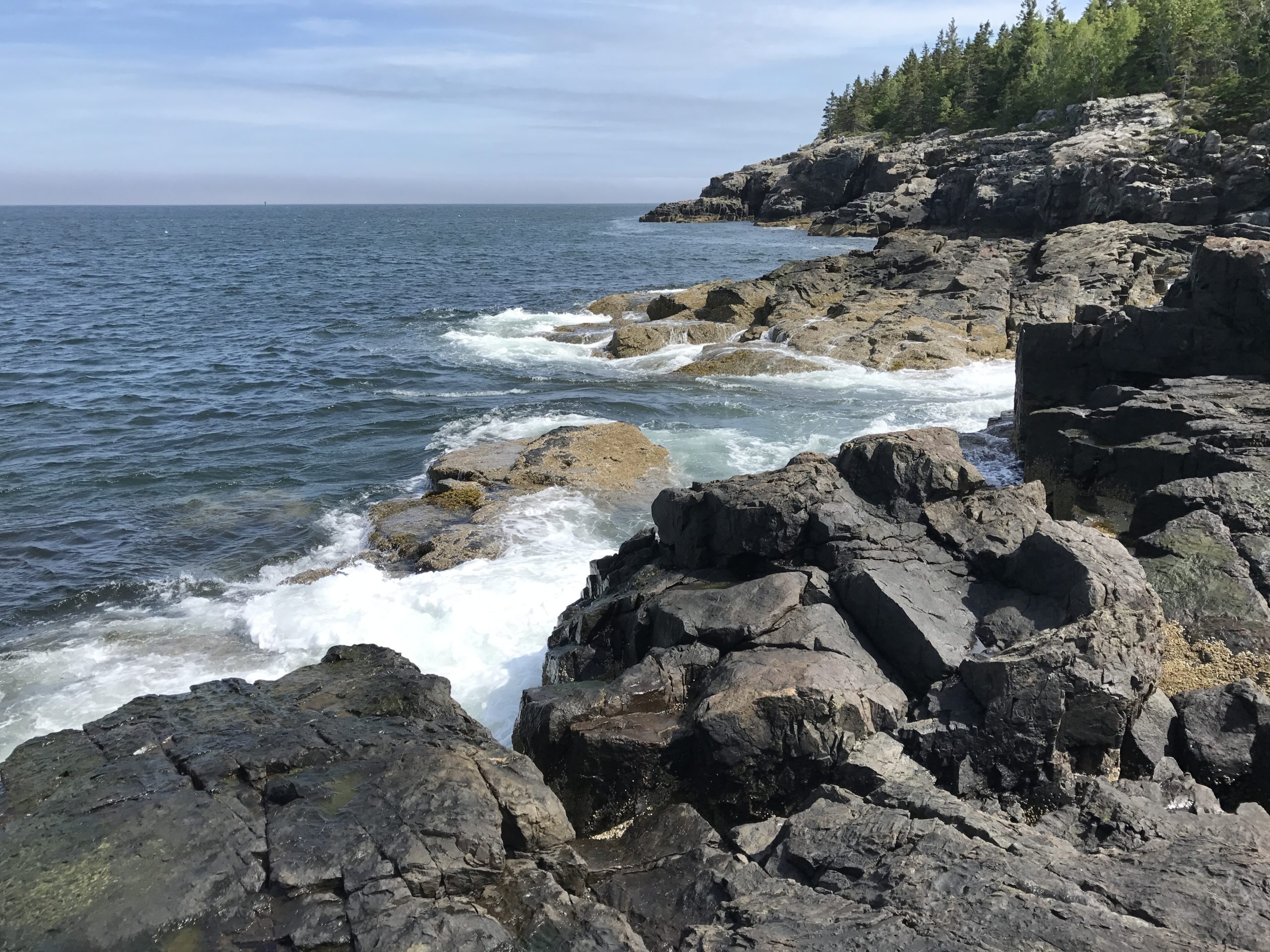Crashing Waves Of Rocky Coast At Schooner Head Overlook In Acadia National Park