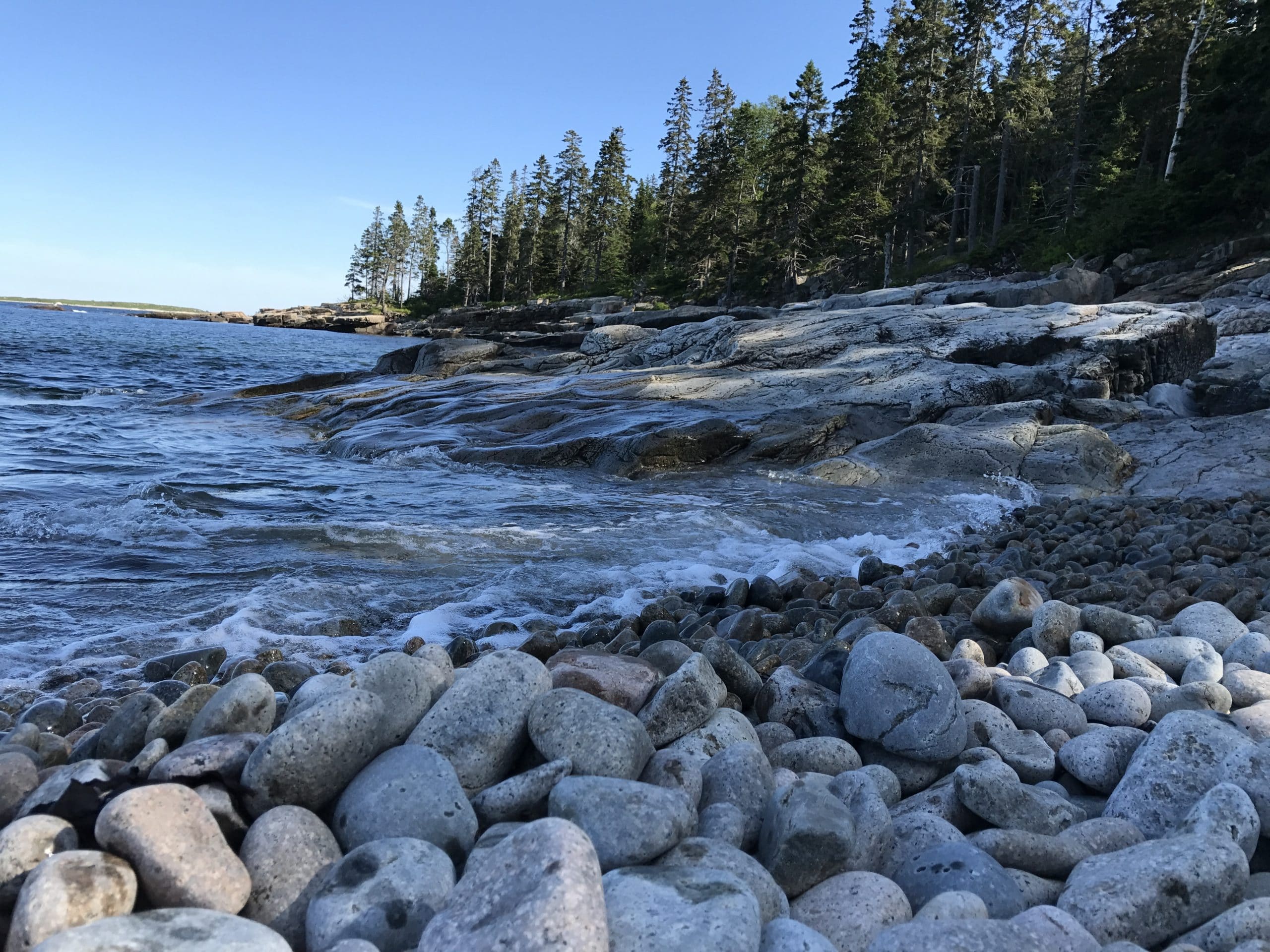 2023 Schoodic Peninsula Complete Guide: The Quiet Side Of Acadia
