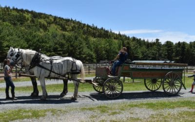 3 Unique Things To Do In Acadia National Park