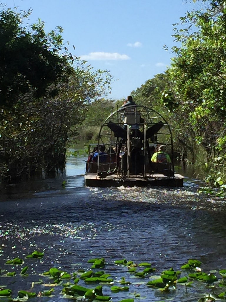 Airboat Ride In Everglades National Park Worst National Parks