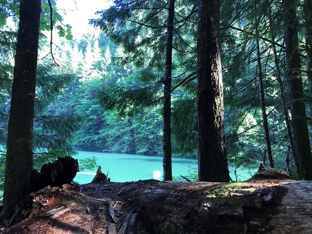 Lake And Trees In Williamette National Forest Worst National Parks