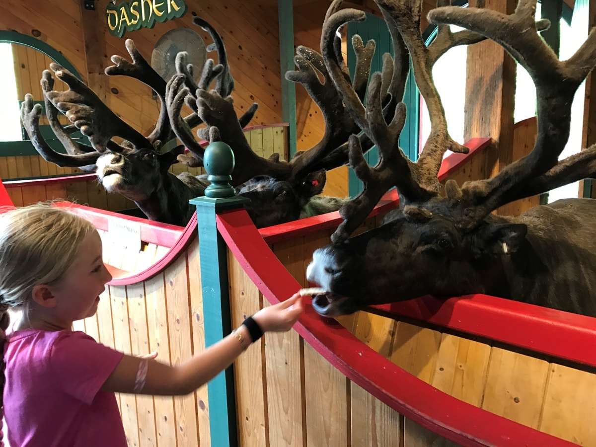Girl Feeding Live Reindeer Santa's Village Jefferson New Hampshire Christmas Theme Parks