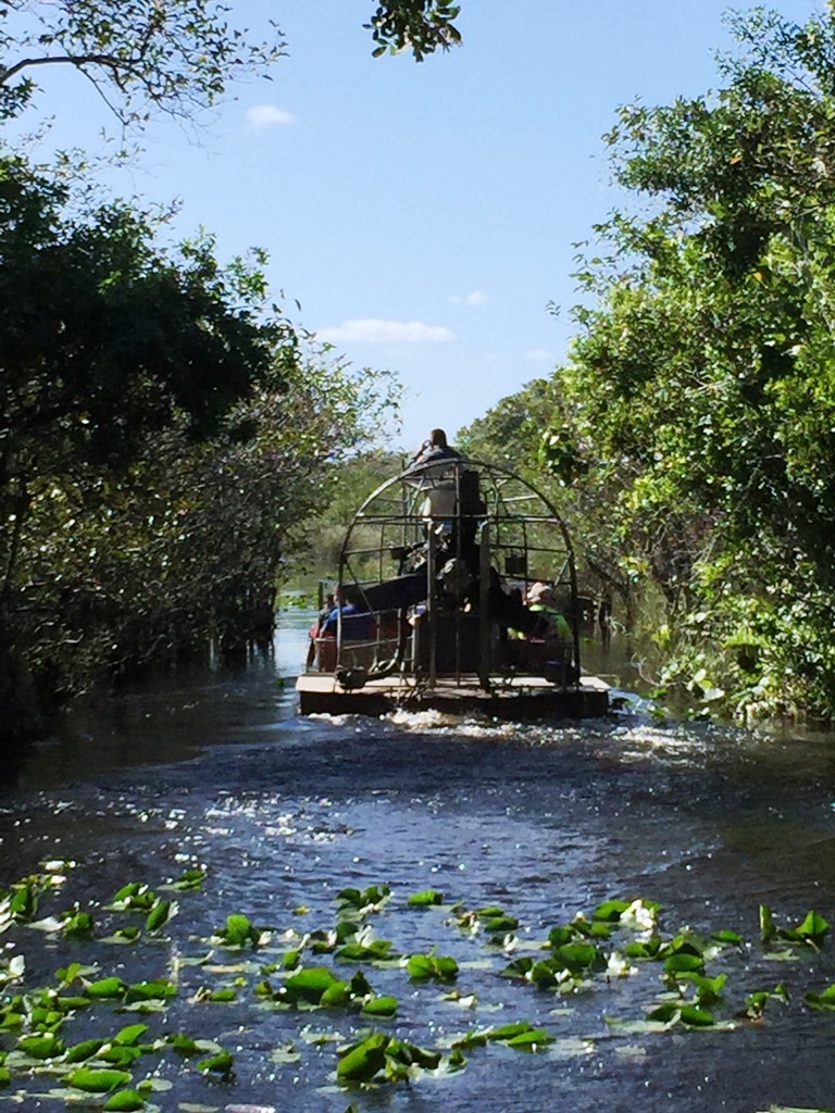 Airboat Ride In Everglades Best National Parks To Visit In Winter