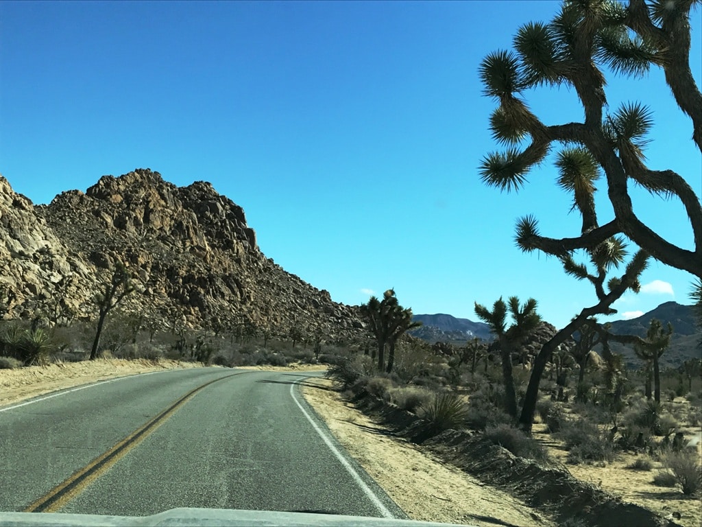 Road Through Joshua Tree Warmest National Parks To Visit In Winter