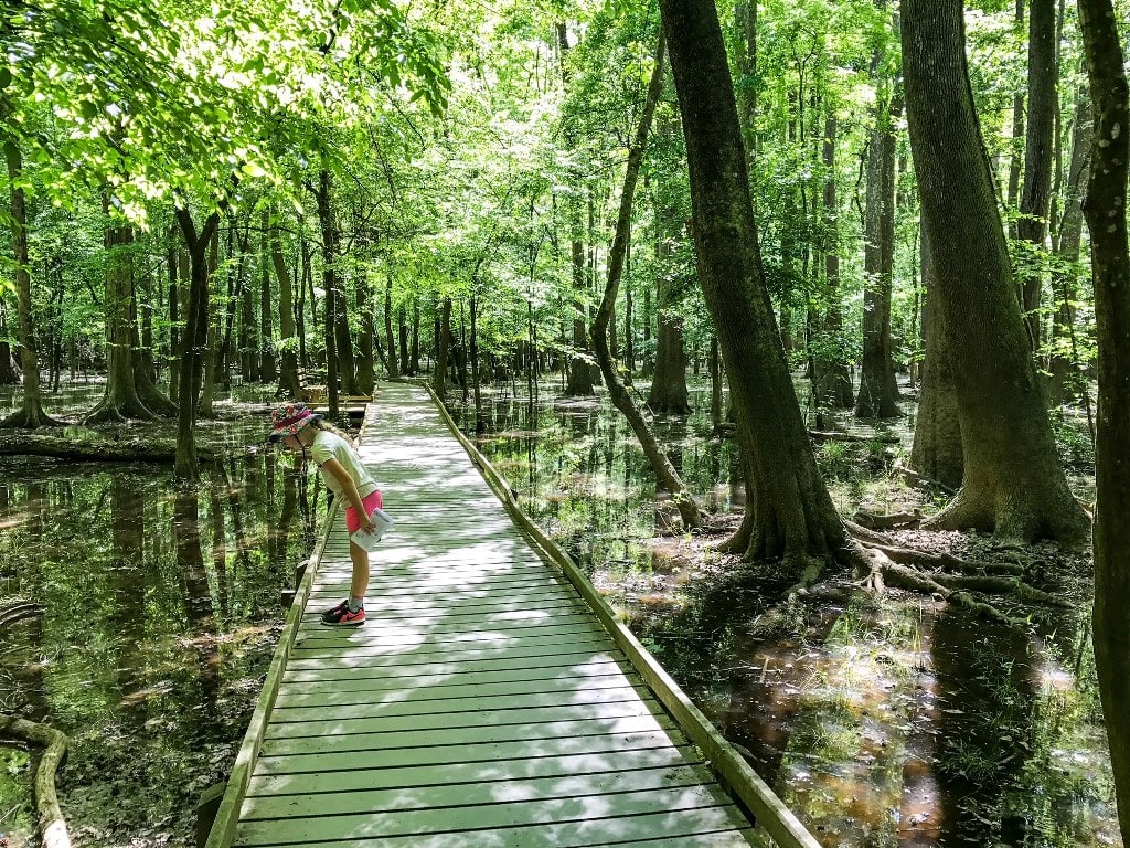 Girl On Boardwalk Trail Congaree Least Visited National Park Ideas To Avoid Crowds