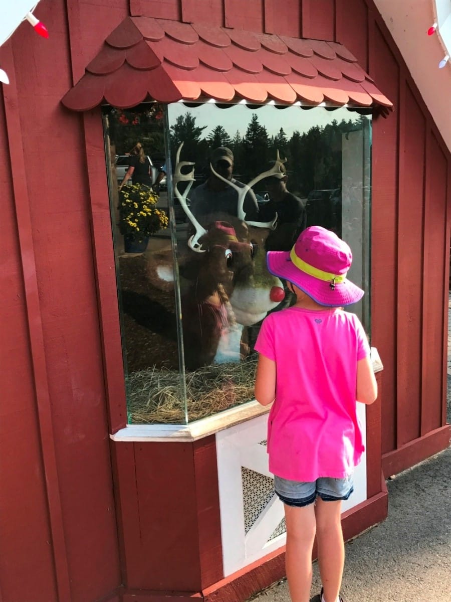 Girl With Talking Reindeer Fun Family Things To Do In The White Mountains New Hampshire