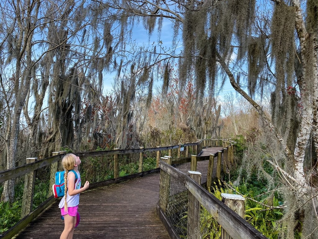 Girl On Boardwalk Trail Complete Guide To Hike Florida