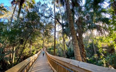 2023 Complete Guide to Hike Florida: 18 Best Hiking Trails In Florida