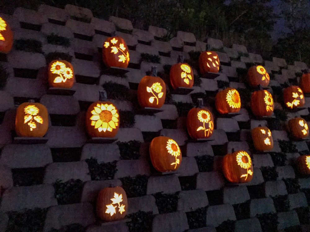 Wall Of Carved Pumpkins Best Festivals And Fall Fairs To Visit In Your RV Travels