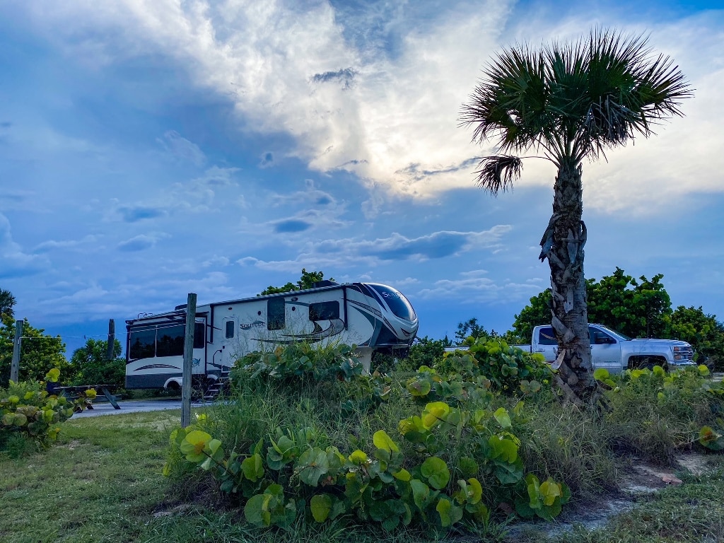 RV campsite with palm tree - Full-Time RV Living and Travel