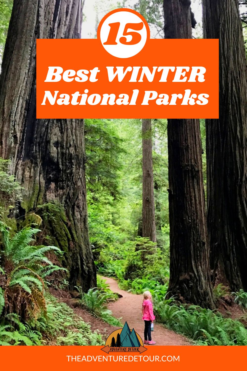 Girl In Redwoods - Best National Parks In Winter