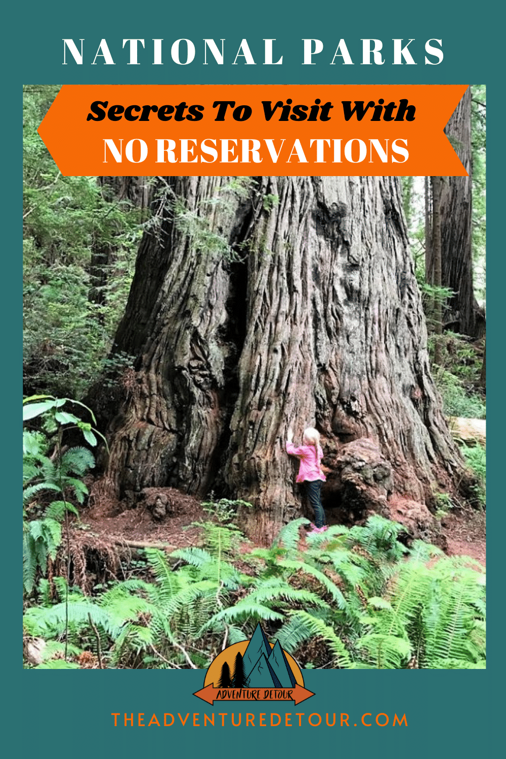Girl hugging redwood tree - visit national parks without a reservation