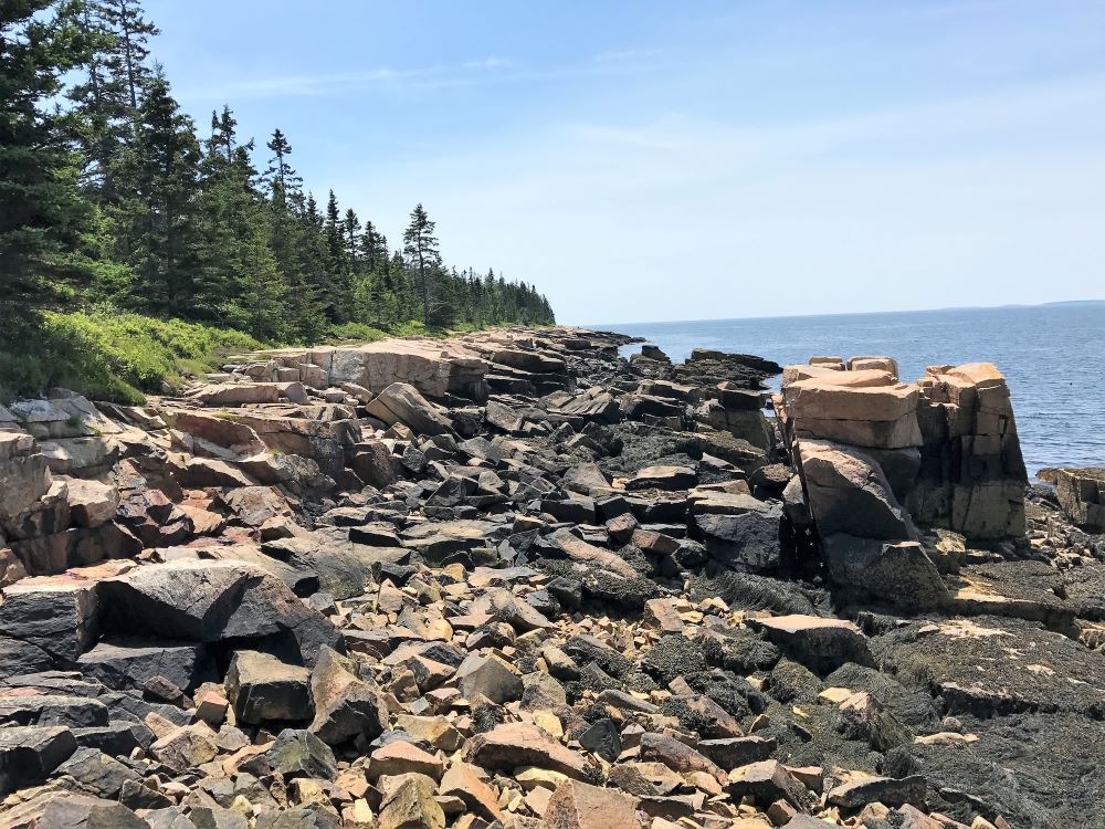 Rocky shore of Acadia - visit national parks without a reservation