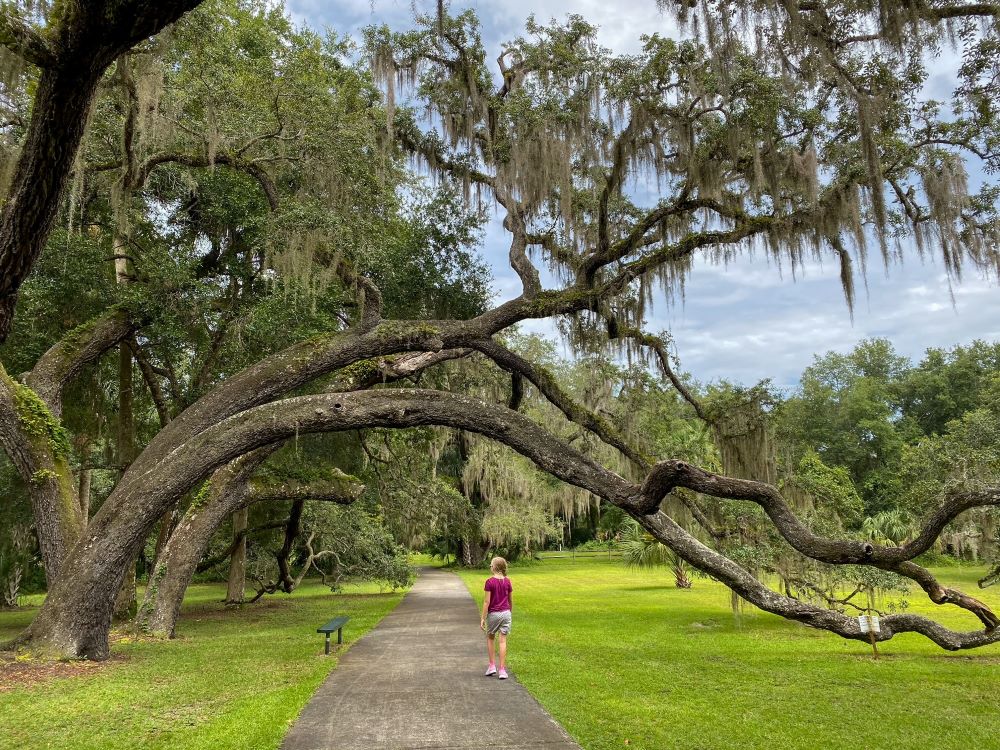 Girl walking under live oaks during RV trip in Florida